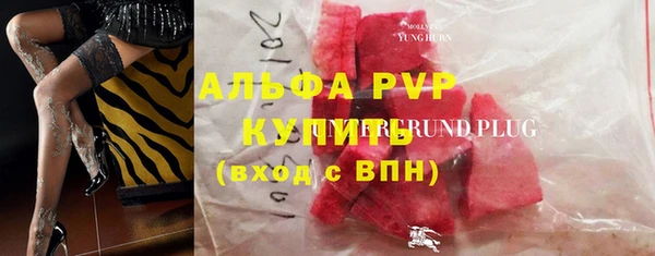PSILOCYBIN Верхний Тагил