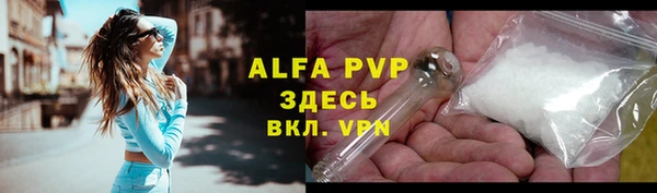 PSILOCYBIN Верхний Тагил