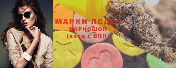 PSILOCYBIN Верхний Тагил