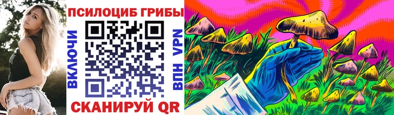 Купить где  Кедровый  Псилоцибиновые грибы Magic Shrooms 