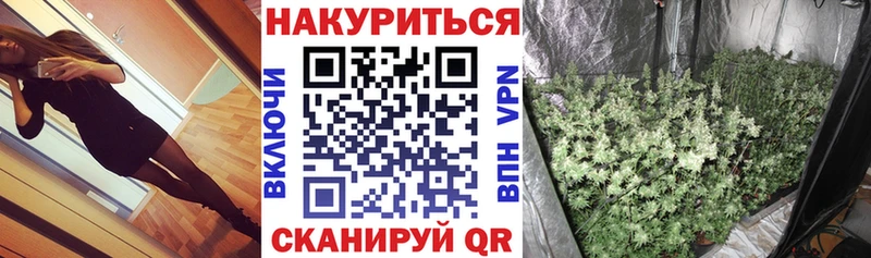 Купить закладки  Кедровый  Конопля SATIVA & INDICA 